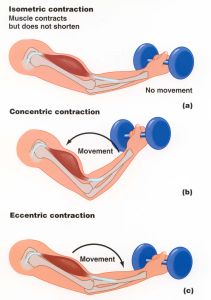 range di movimento tecniche di allenamento
