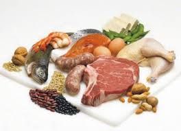 proteine animali alimenti-proteine
