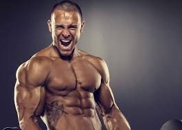 creatina bodybuilding creatina migliore