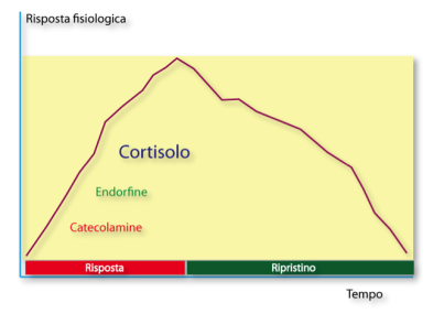 grafico cortisolo andamento ormonale