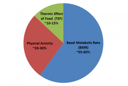 fabbisogno energetico Conteggio calorie e carboidrati