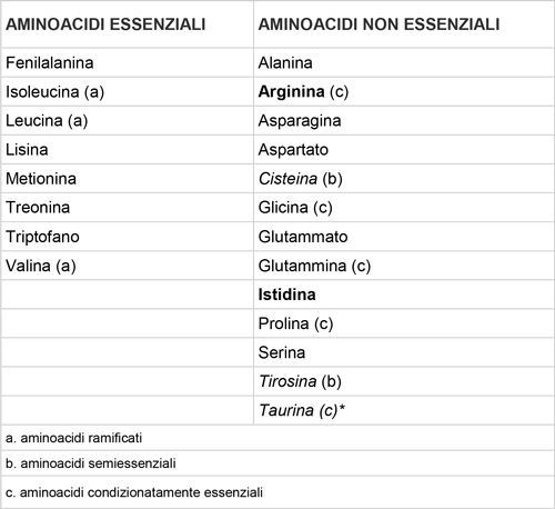 aminoacidi essenziali Tabella-aminoacidi-essenziali