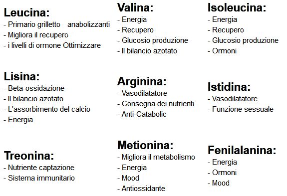 aminoacidi proteine Amminoacidi_e_salute