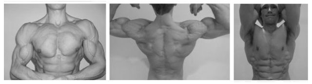 Martin Berkhan, digiuno leangains