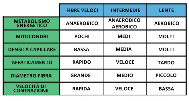 composizione fibre tabella_spadoni